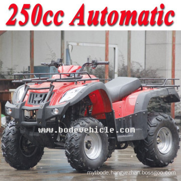 NEW china 250cc quad's with Automatic (MC-356)